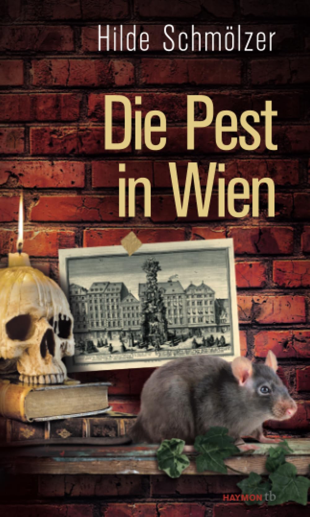 Die Pest in Wien Politics & History books