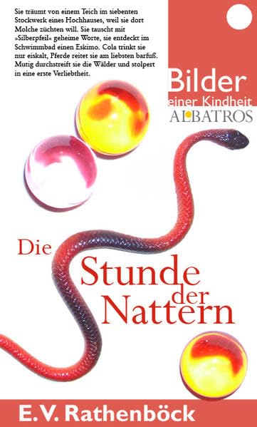 Die Stunde der Nattern Contemporary literature Books