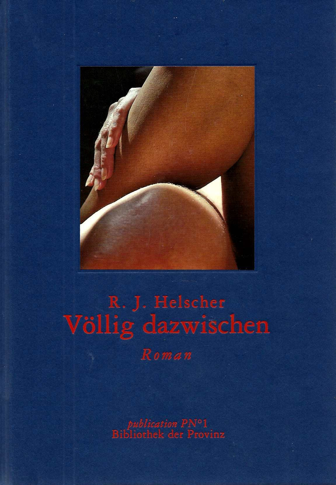 Völlig dazwischen: Roman Contemporary literature