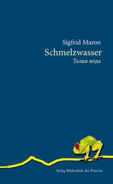Schmelzwasser: Eine Assoziationskette möglicherweise ein Roman keine Gebrauchsanweisung für eine Waschmaschine aber fast ein Kochbuch Contemporary literature