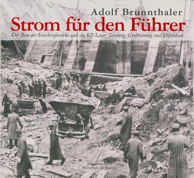Strom für den Führer: Betrachtungen Contemporary literature