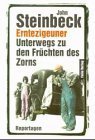 Erntezigeuner. Unterwegs zu den Früchten des Zorns Contemporary literature Books