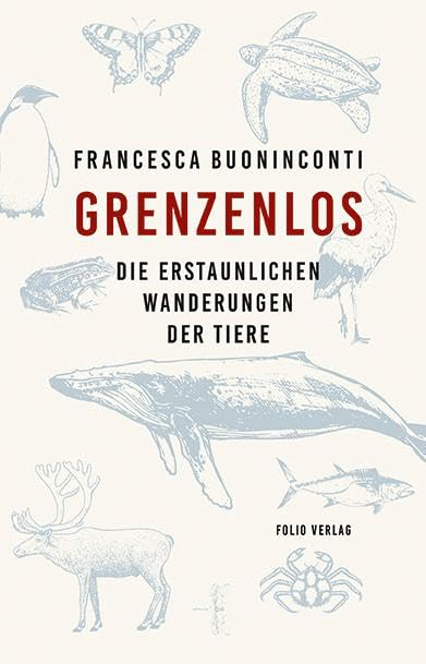 Grenzenlos Mathematics Books