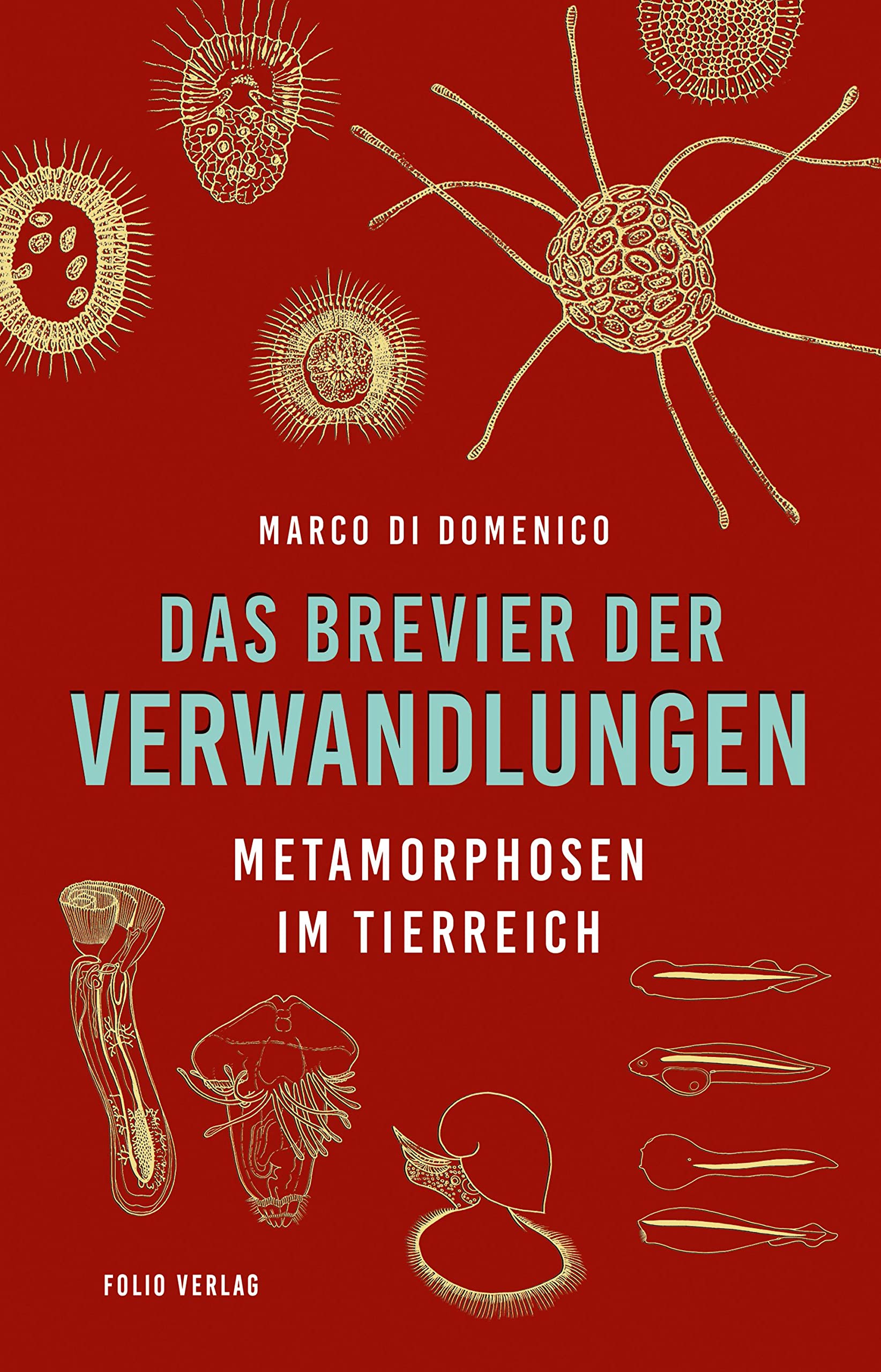 Das Brevier der Verwandlungen Leisure, Home & Garden