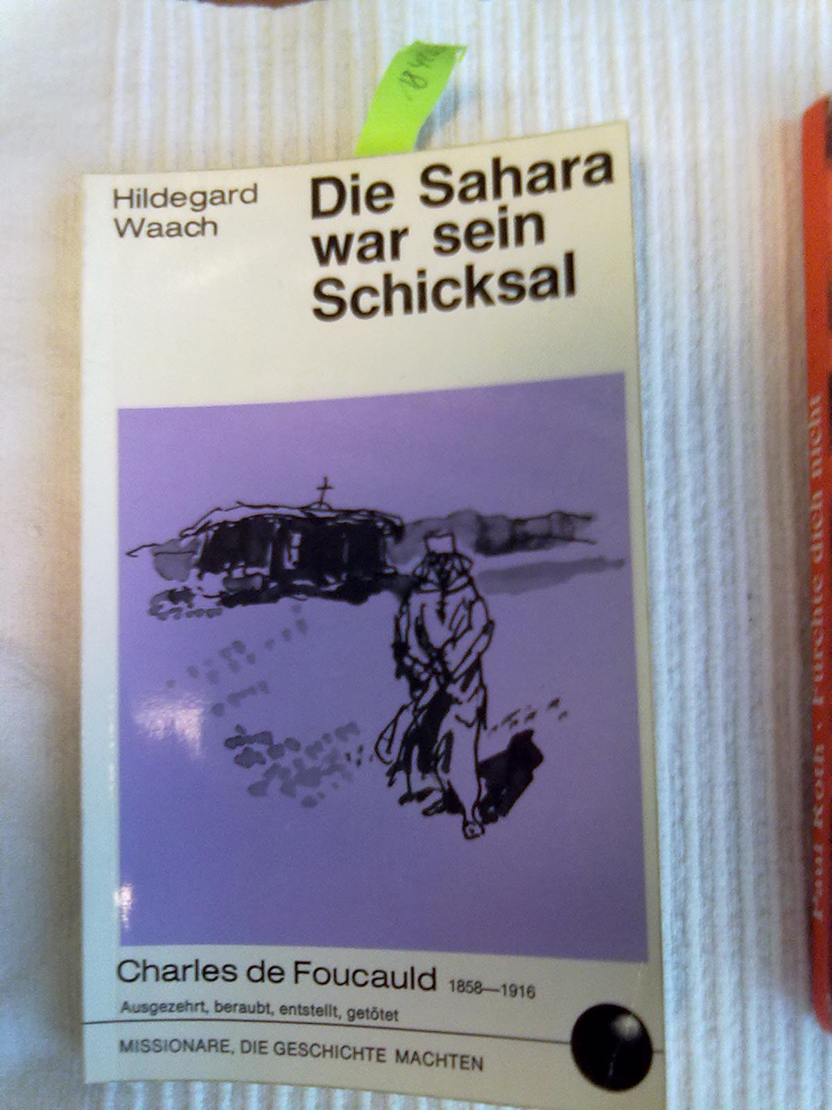 Die Sahara war sein Schicksal. Charles de Foucauld 1858-1916. Ausgezehrt, beraubt, entstellt, getötet. Books