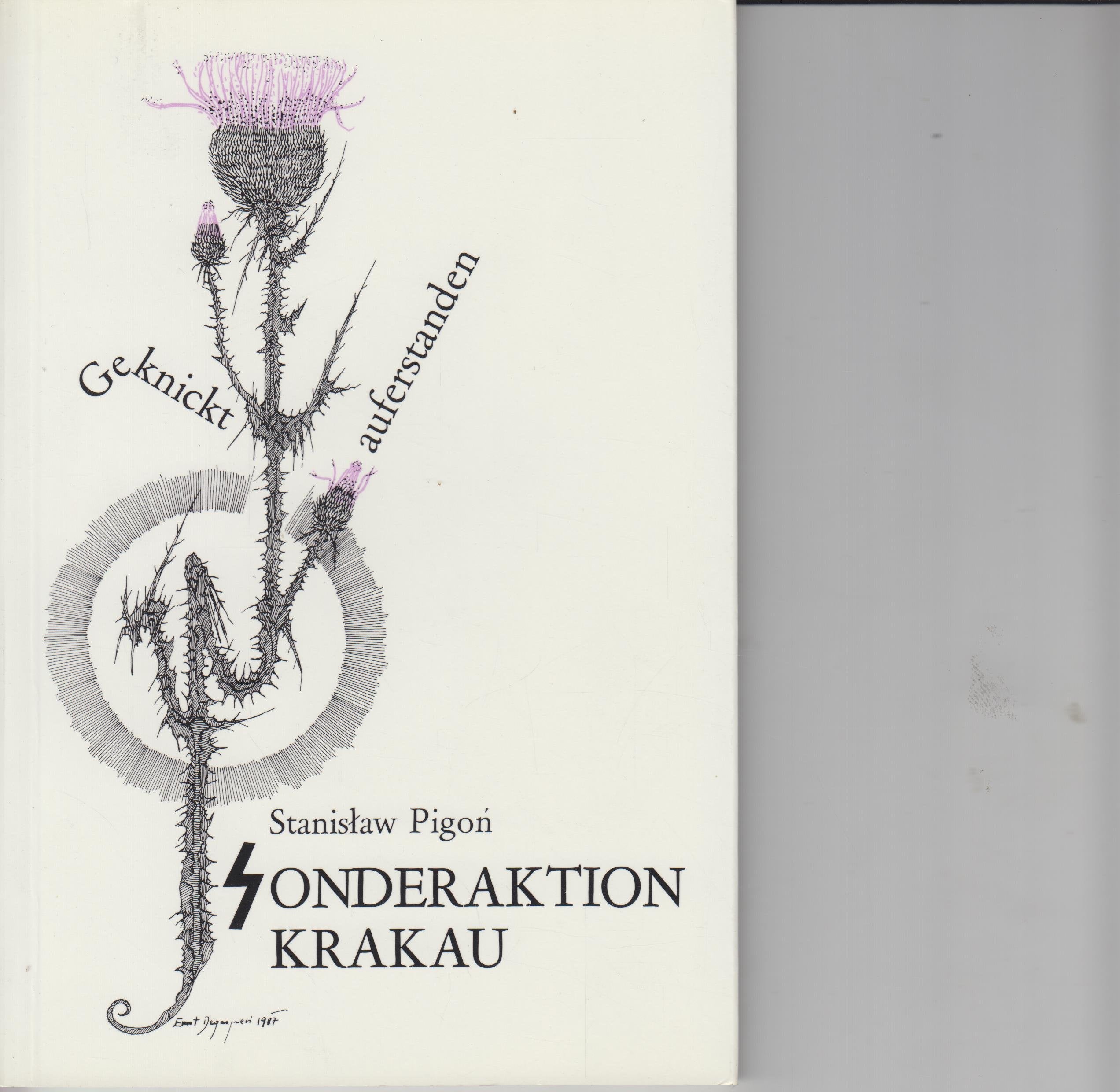 Erinnerungen an Sachsenhausen (1939-1940) - Sonderaktion Krakau. Geknickt auferstanden. Books