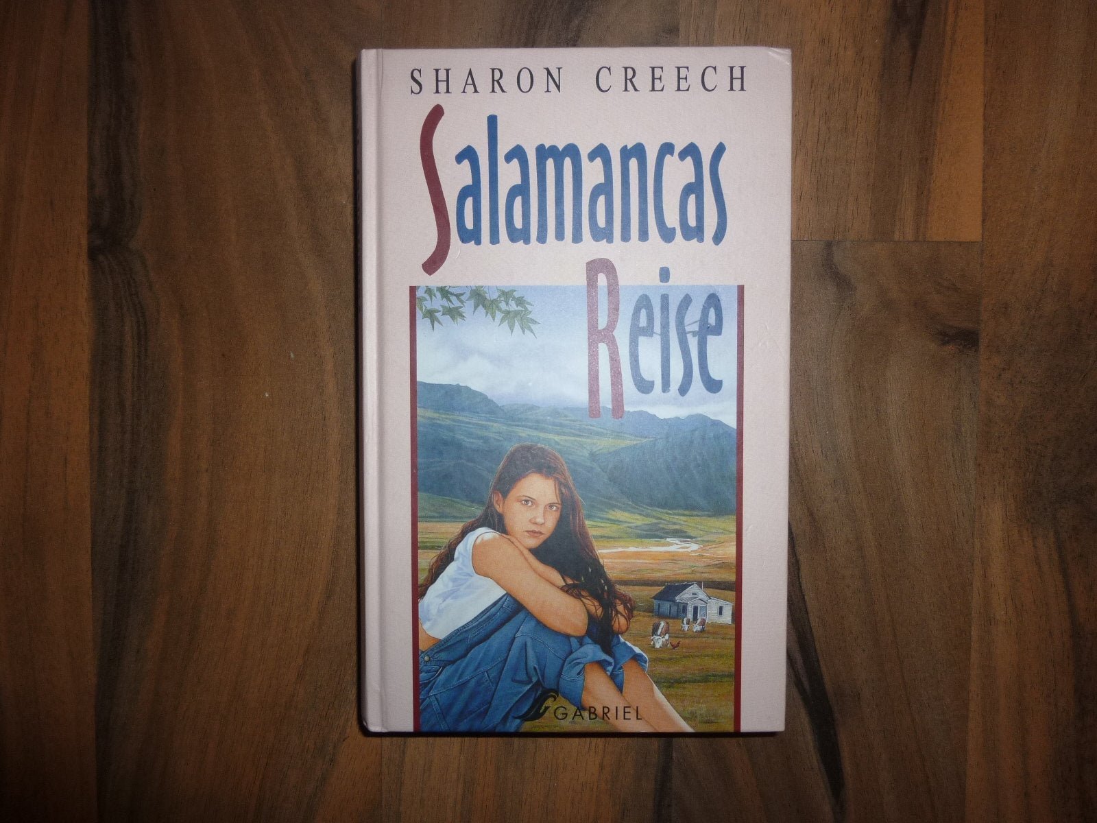 Product Image: Salamancas Reise. ( Ab 13 J.)