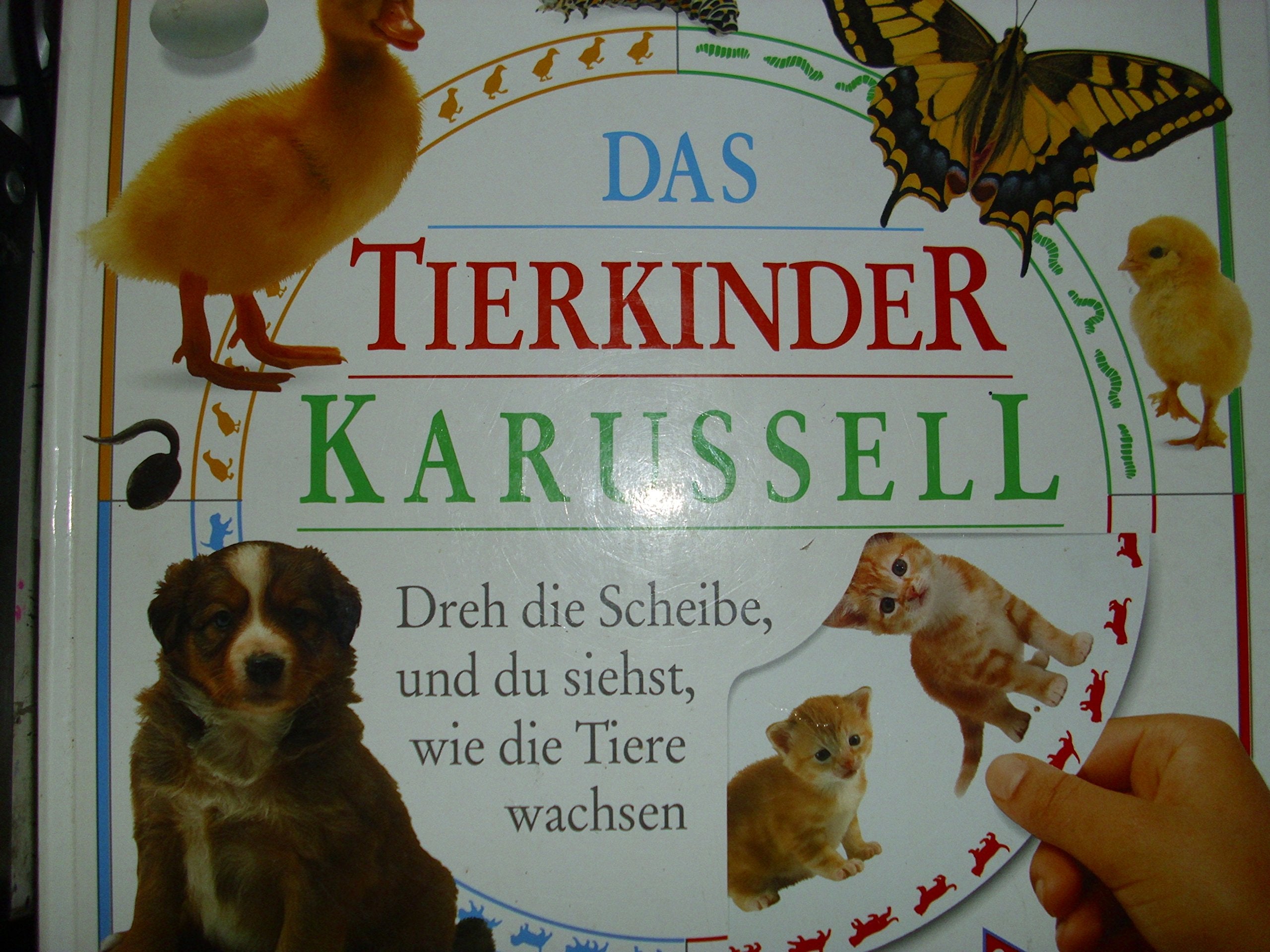 Das Tierkinder Karussell - Dreh die Scheibe, und du siehst, wie die Tiere wachsen Books