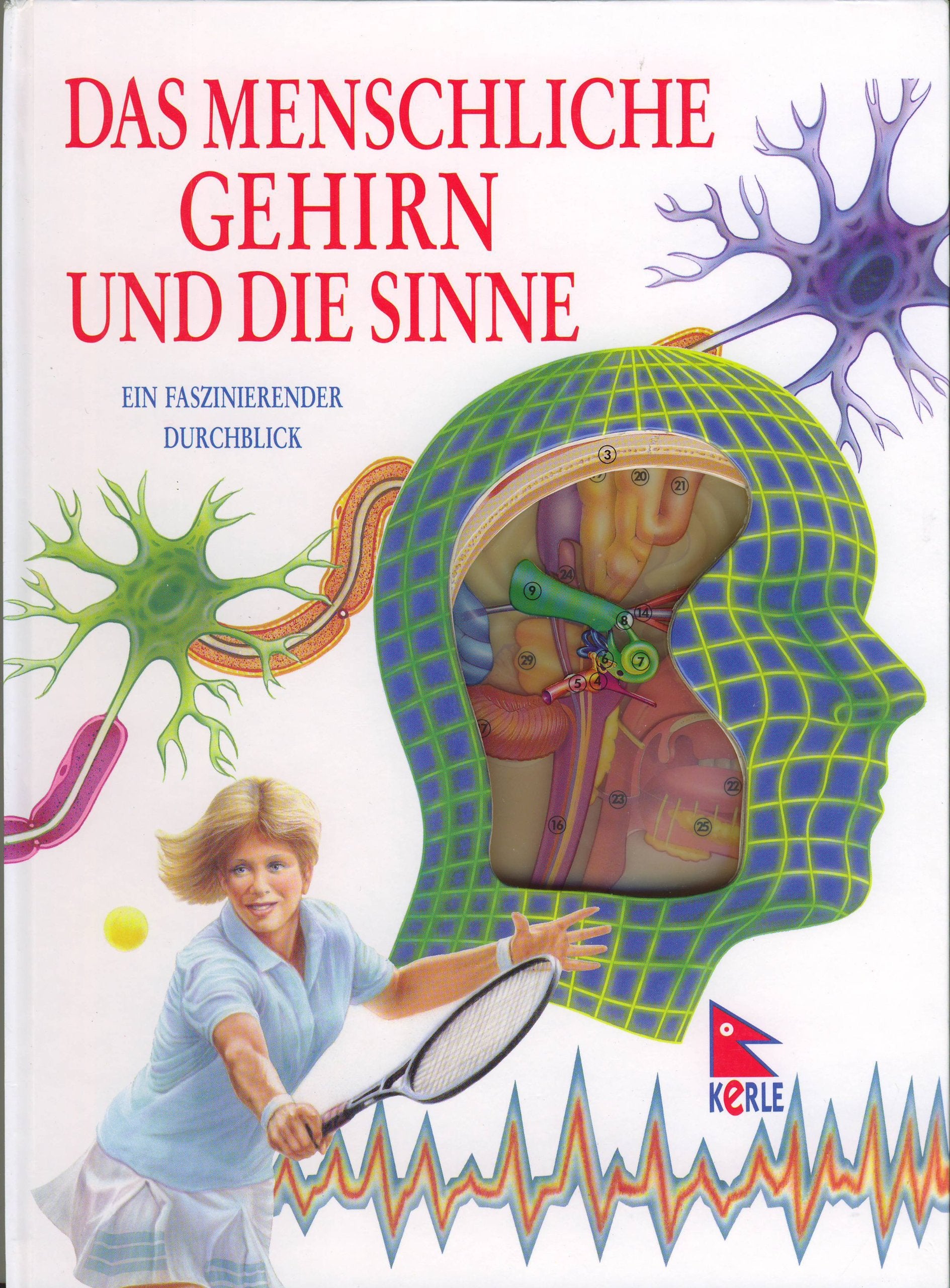 Das menschliche Gehirn und die Sinne, ein faszinierender Durchblick Books