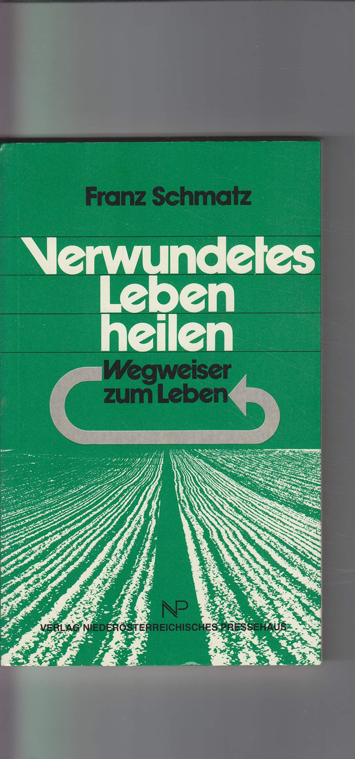 Verwundetes Leben heilen (Wegweiser zum Leben) Books