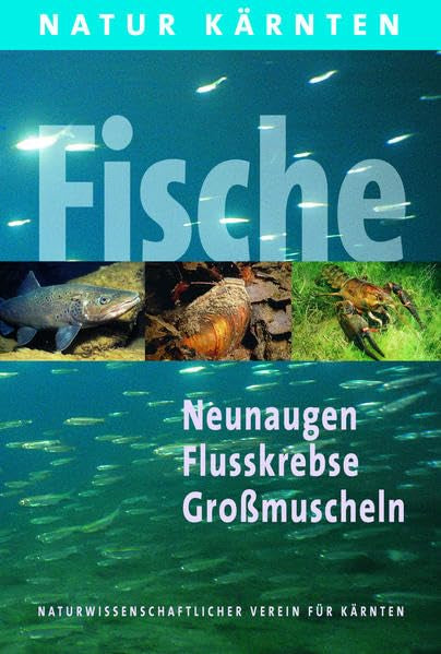 Die Fische Kärntens: Fische, Neunaugen, Flusskrebse, Grossmuscheln (Natur Kärnten) Leisure, Home & Garden
