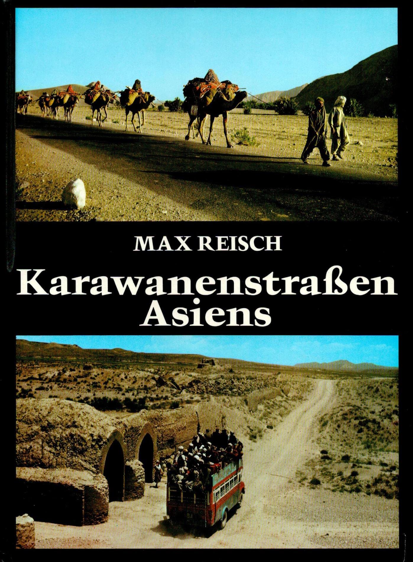 Karawanenstrassen Asiens Business, Finance & Career Books