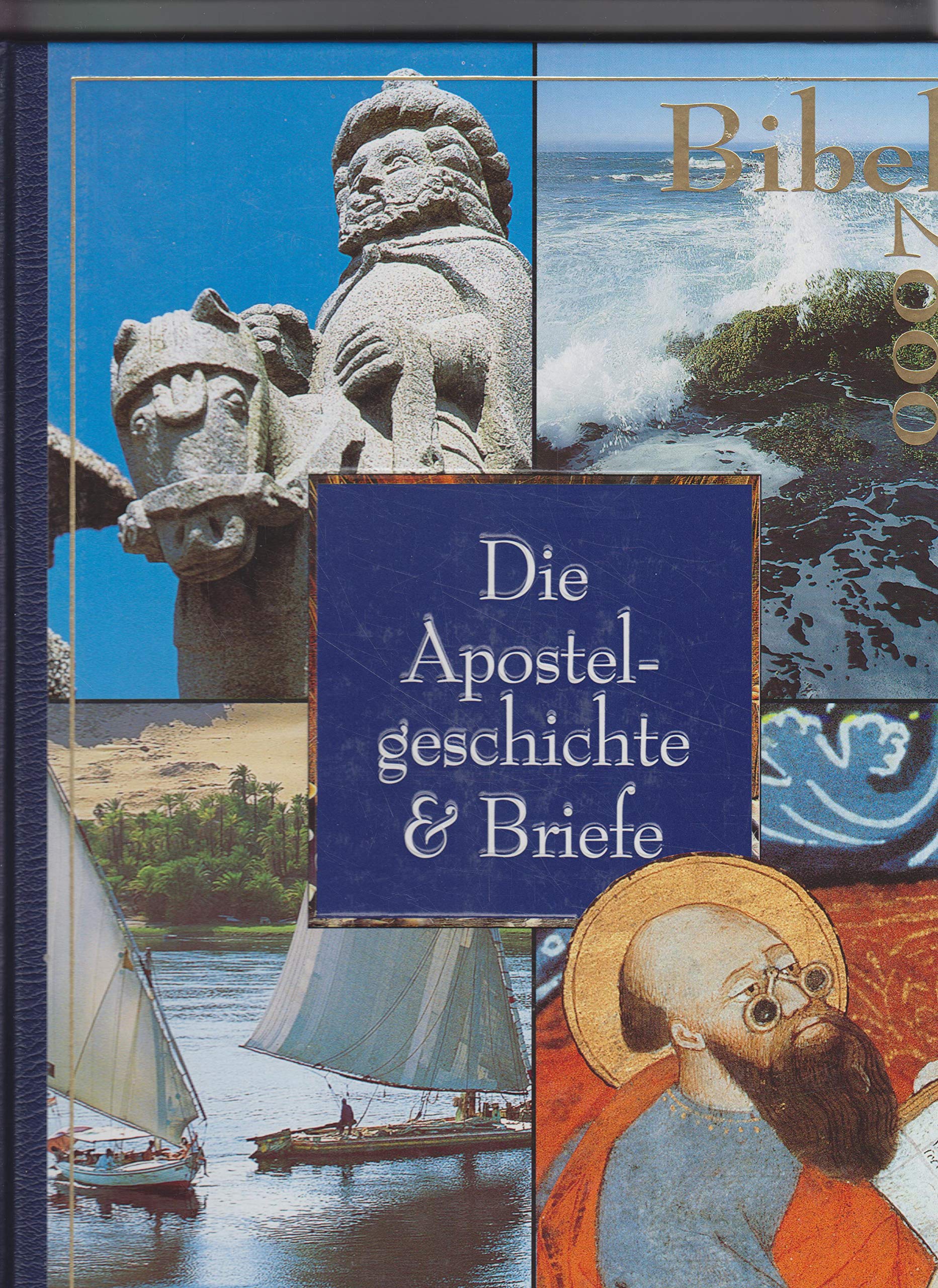 Bibel 2000 / Apostelgeschichte und Briefe Essays & Short Stories