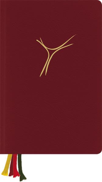 Gotteslob Österreich neu - Lederausgabe rot: Katholisches Gesangs- und Gebetbuch für die (Erz-)Diözesen Österreichs Religion & Esotericism