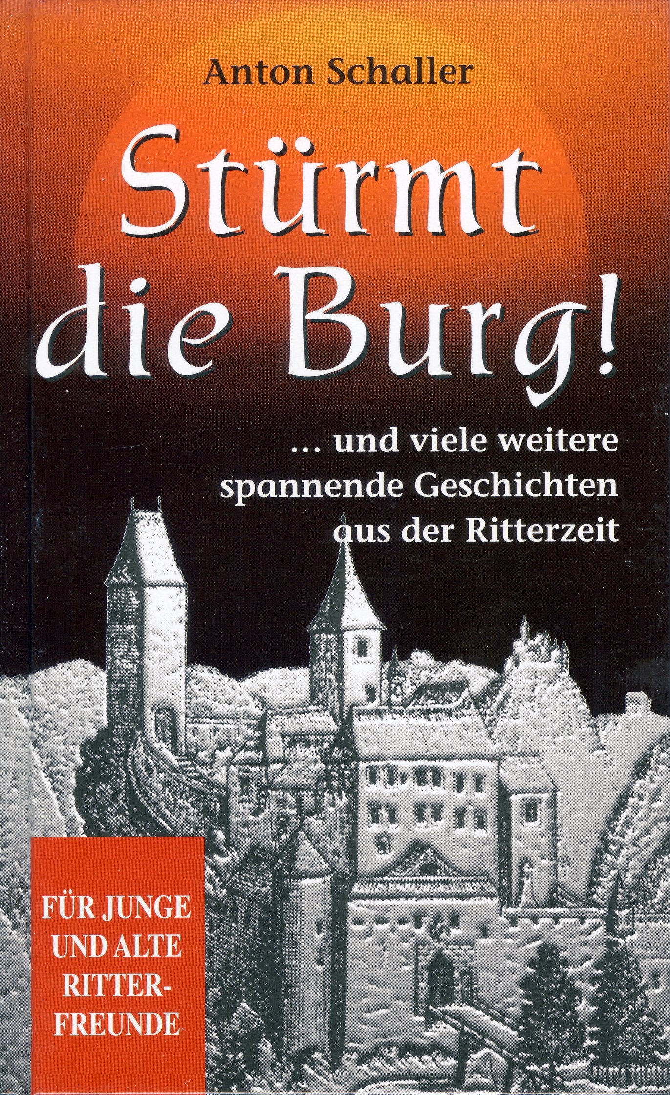 Stürmt die Burg! … und viele weitere spannende Geschichten aus der Ritterzeit Books