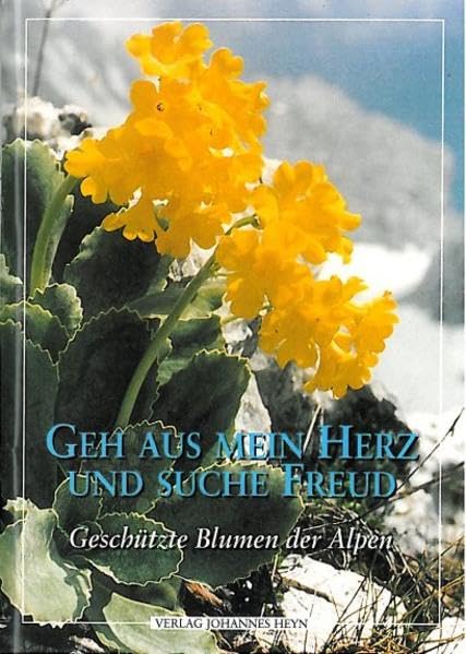Geh aus mein Herz und suche Freud Leisure, Home & Garden