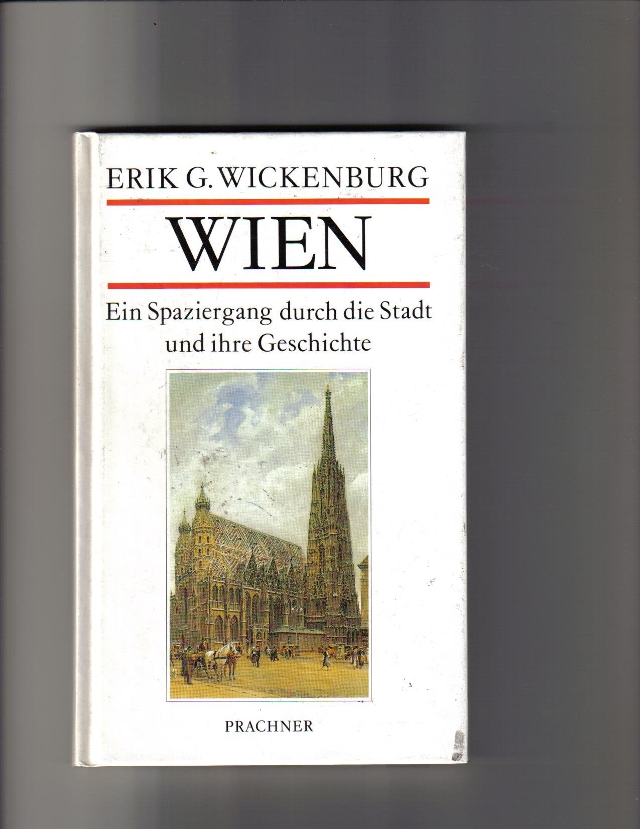 Wien. Ein Spaziergang durch die Stadt und ihre Geschichte Politics & History