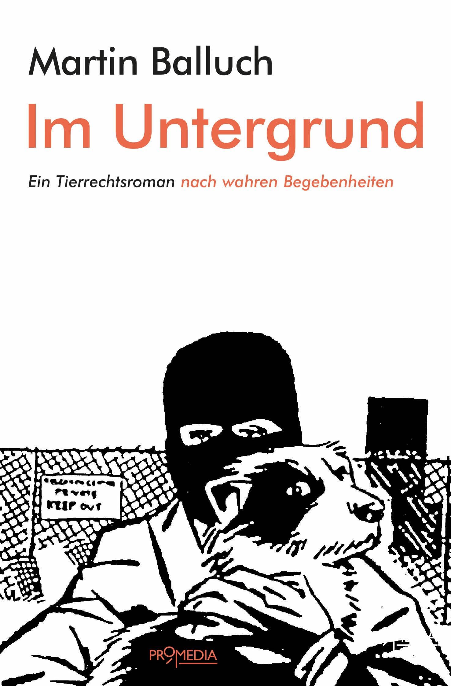 Product Image: Im Untergrund