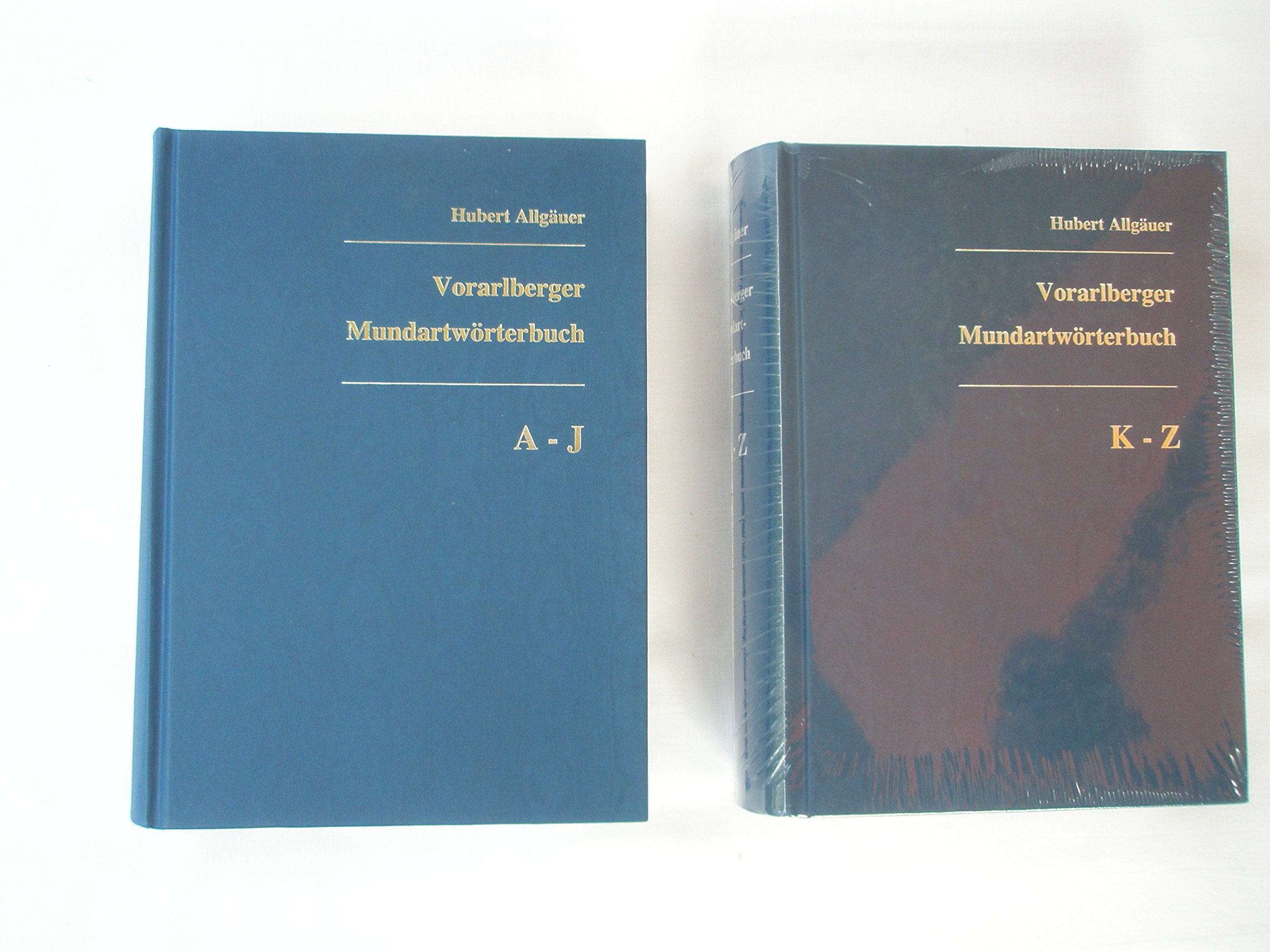 Vorarlberger Mundartwörterbuch (Schriften der Vorarlberger Landesbibliothek) Social Sciences