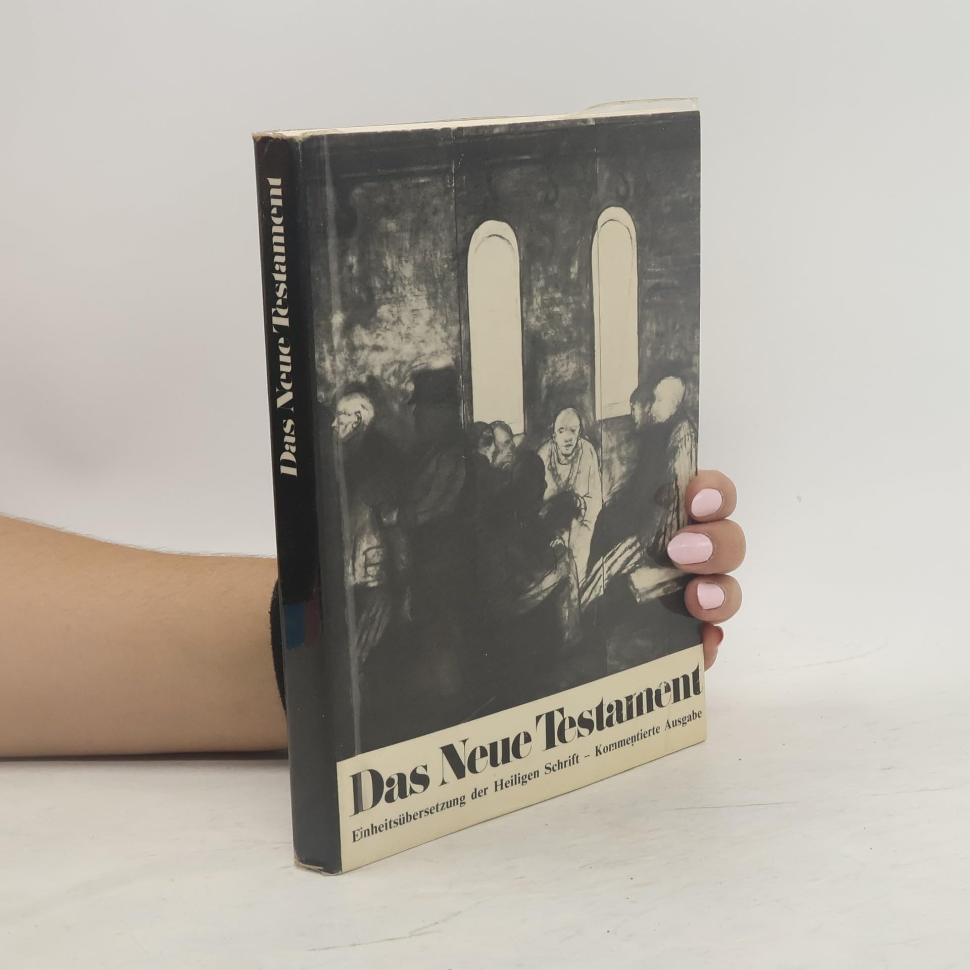 Das Neue Testament. Einheitsübersetzung, kommentierte Ausgabe Books