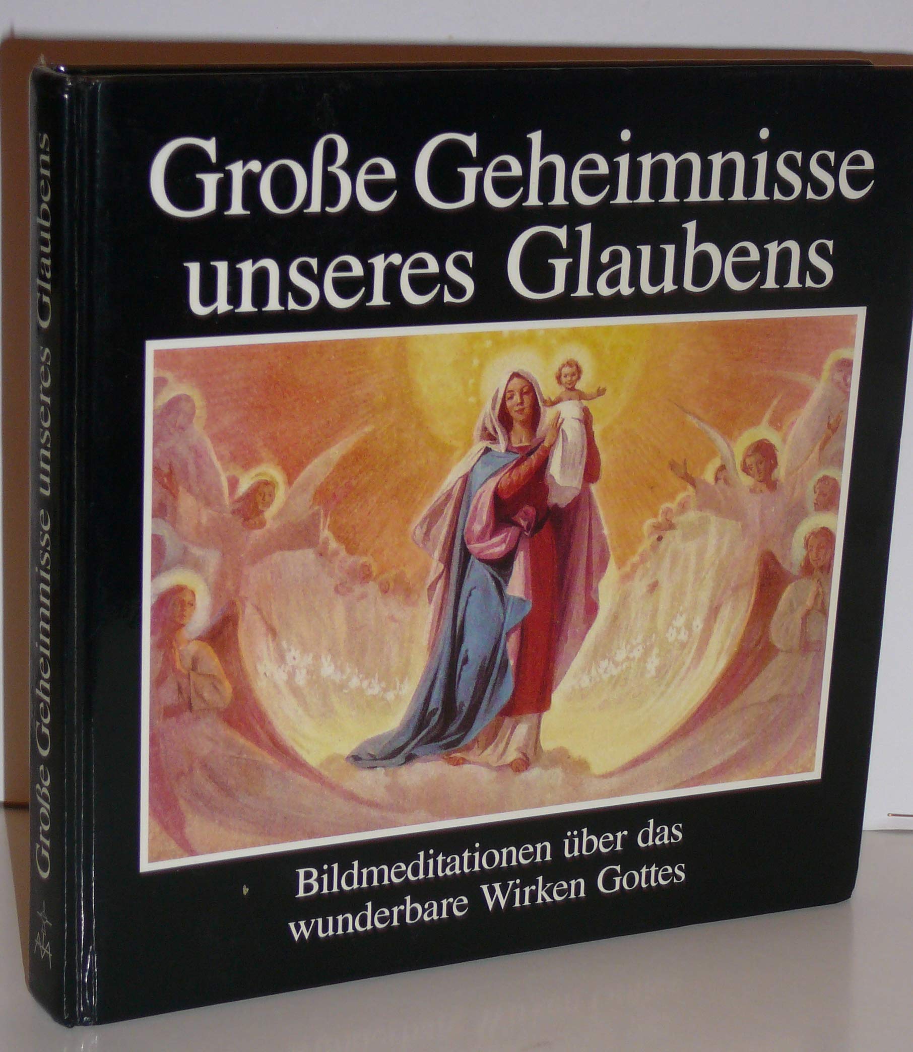Grosse Geheimnisse unseres Glaubens: Bildmeditationen über das Wirken Gottes Books