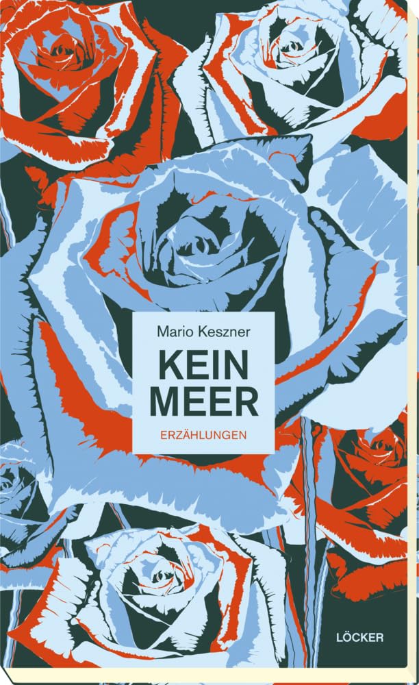 Kein Meer: Erzählungen Contemporary literature