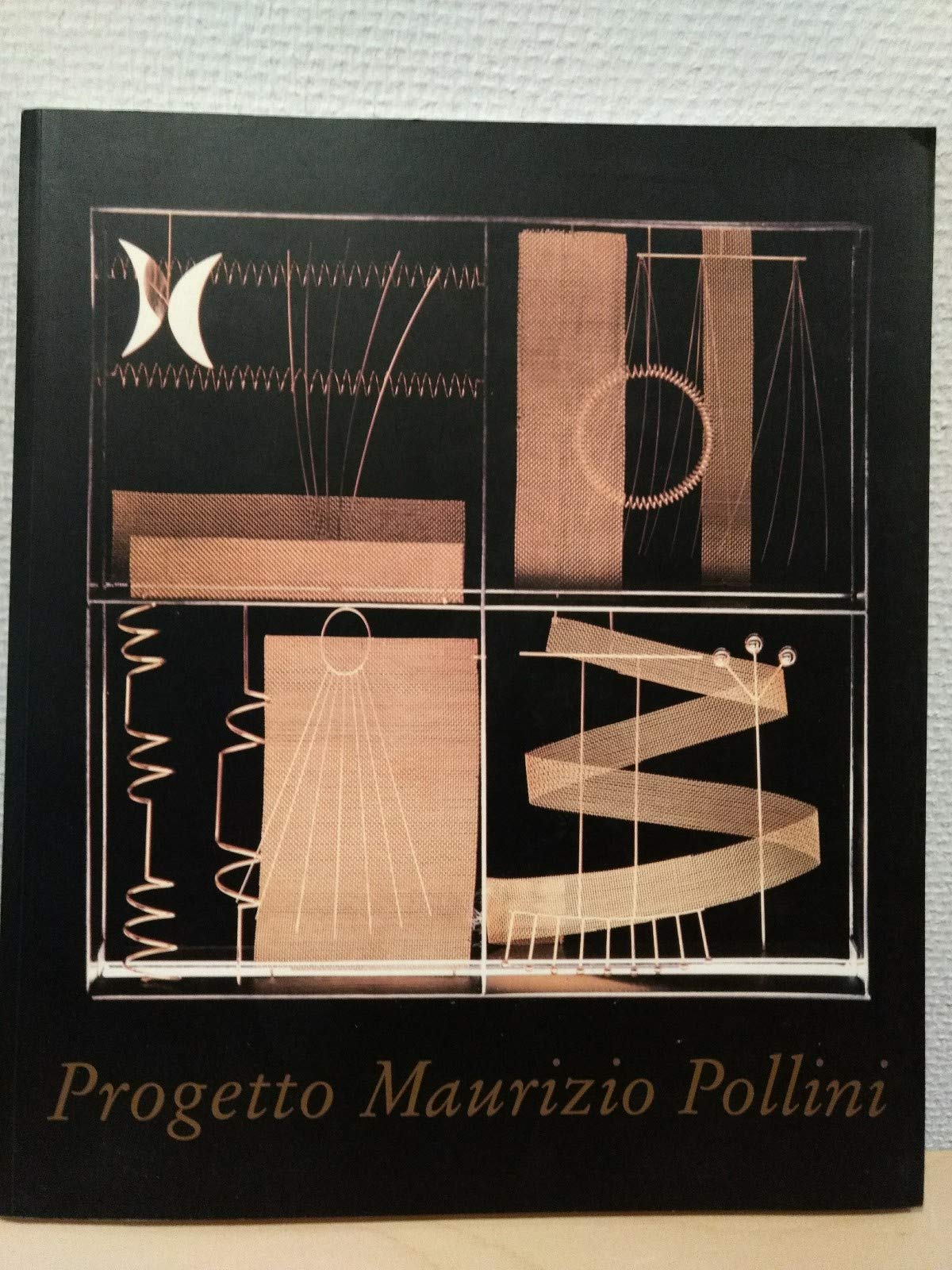 Progetto Maurizio Pollini: Programmbuch der Salzburger Festspiele Professional & Reference Books