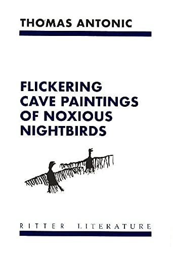Flackernde Felsbilder übler Nachtvögel / Flickering Cave Paintings of Noxious Nightbirds Contemporary literature