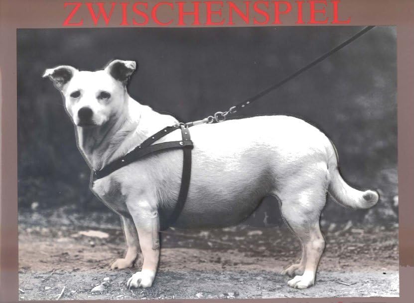 Zwischenspiel Hobbies & Crafts