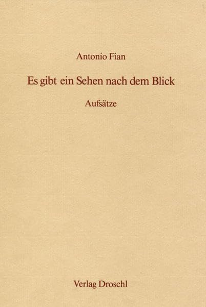 Es gibt ein Sehen nach dem Blick: Aufsätze Contemporary literature