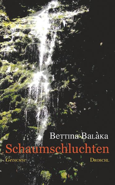 Schaumschluchten: Gedichte Poetry