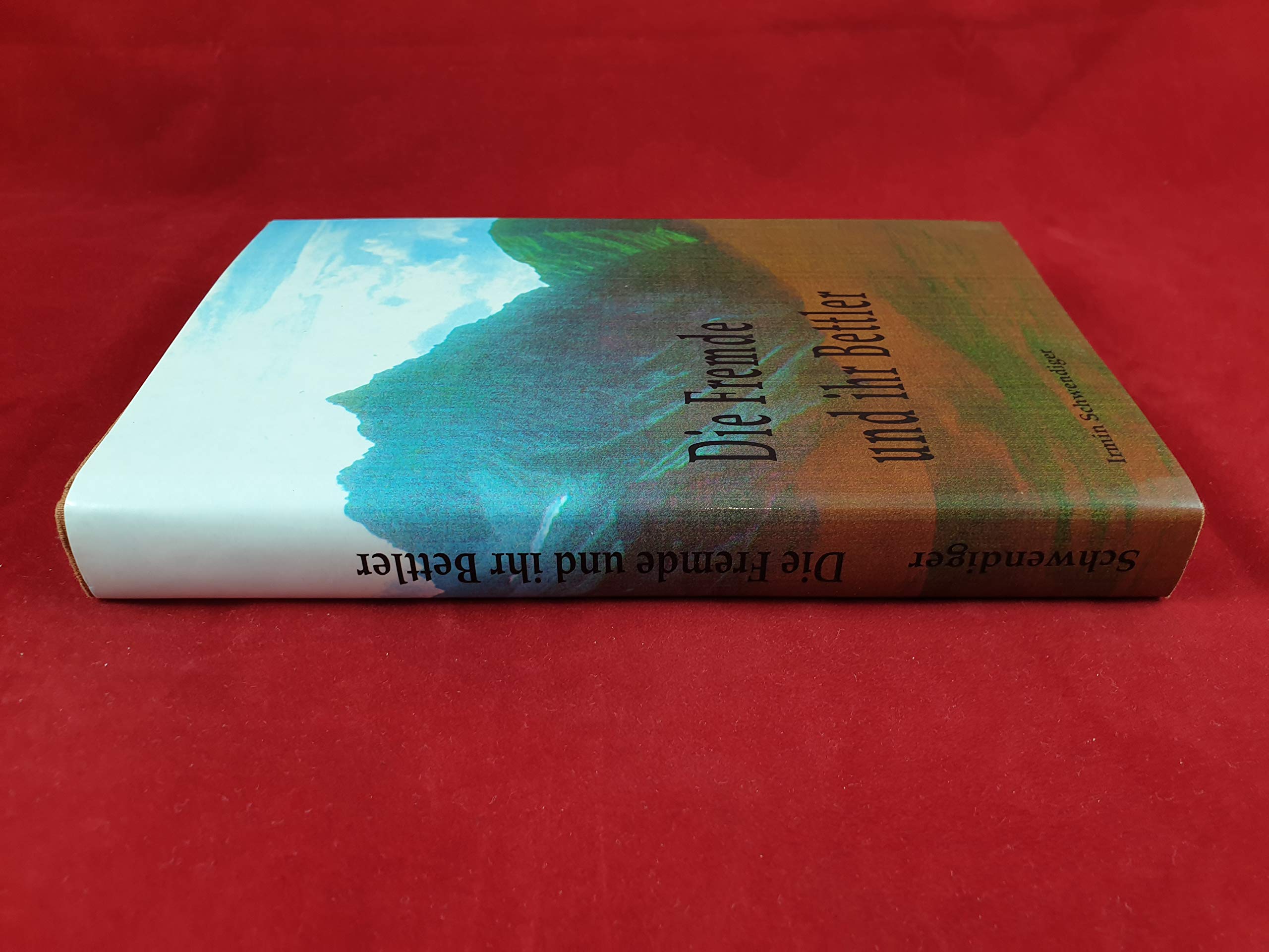 Die Fremde und ihr Bettler: Hintergrund des Kleinwalsertales Books