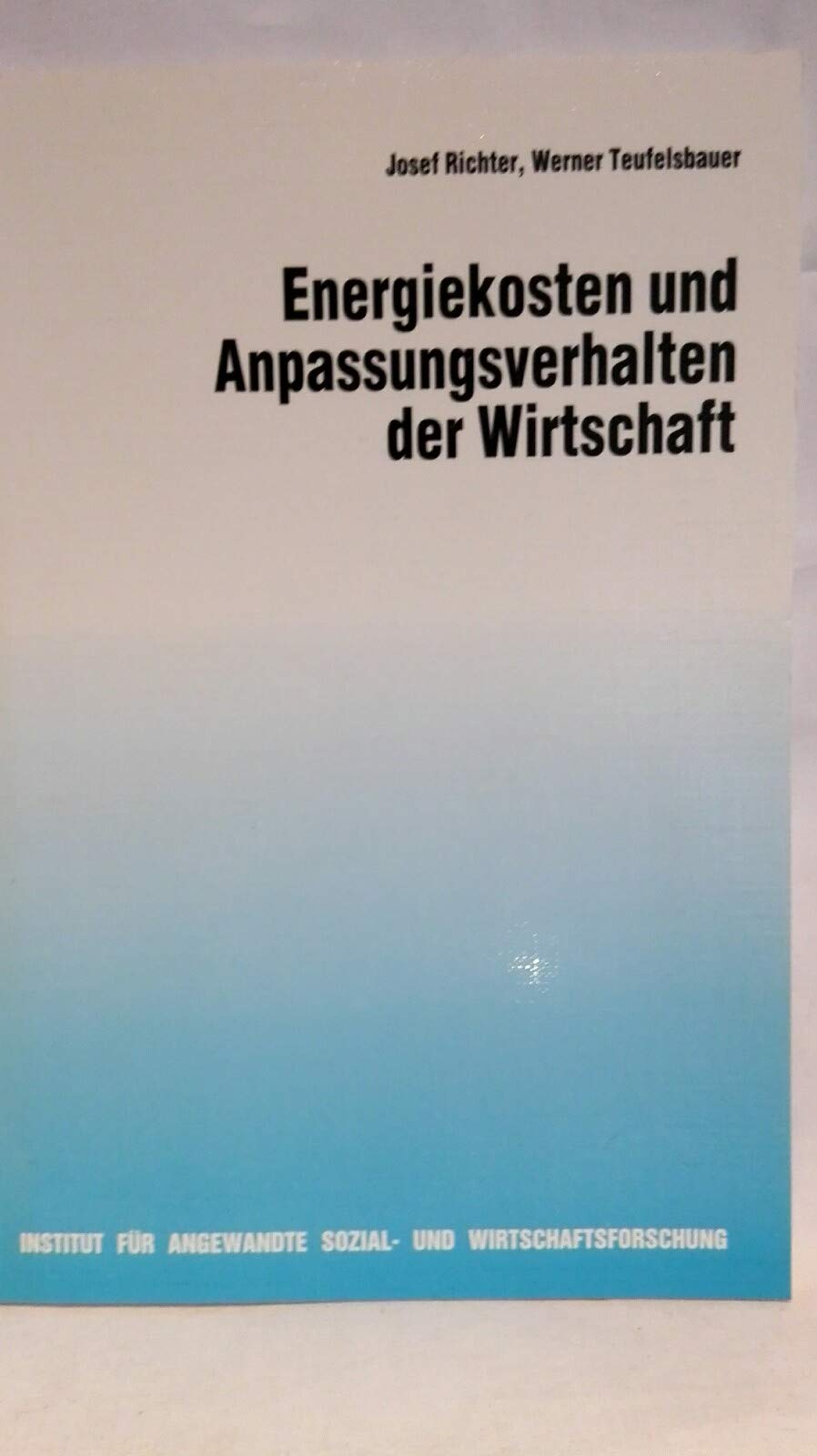 Energiekosten und Anpassungsverhalten der Wirtschaft (German Edition) Books