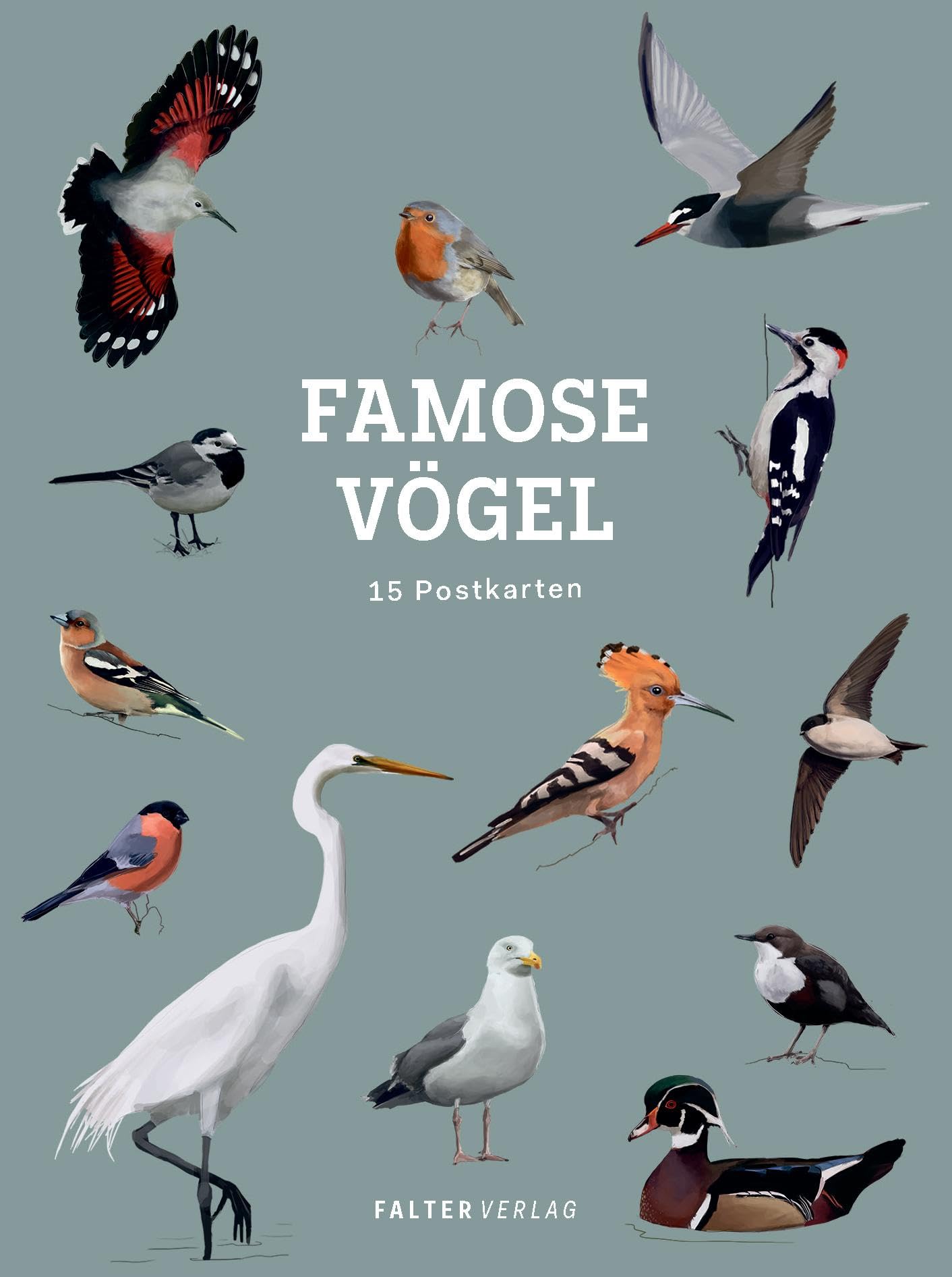 Product Image: Famose Vögel - Postkartenbuch