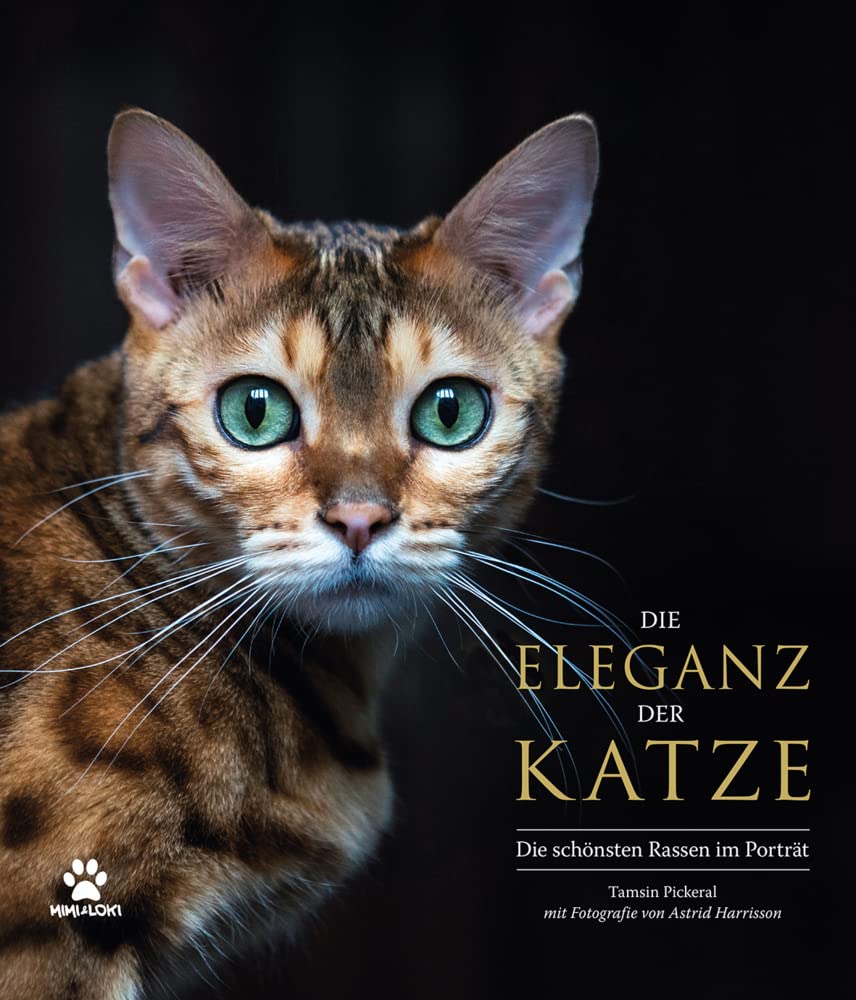 Die Eleganz der Katze Medicine