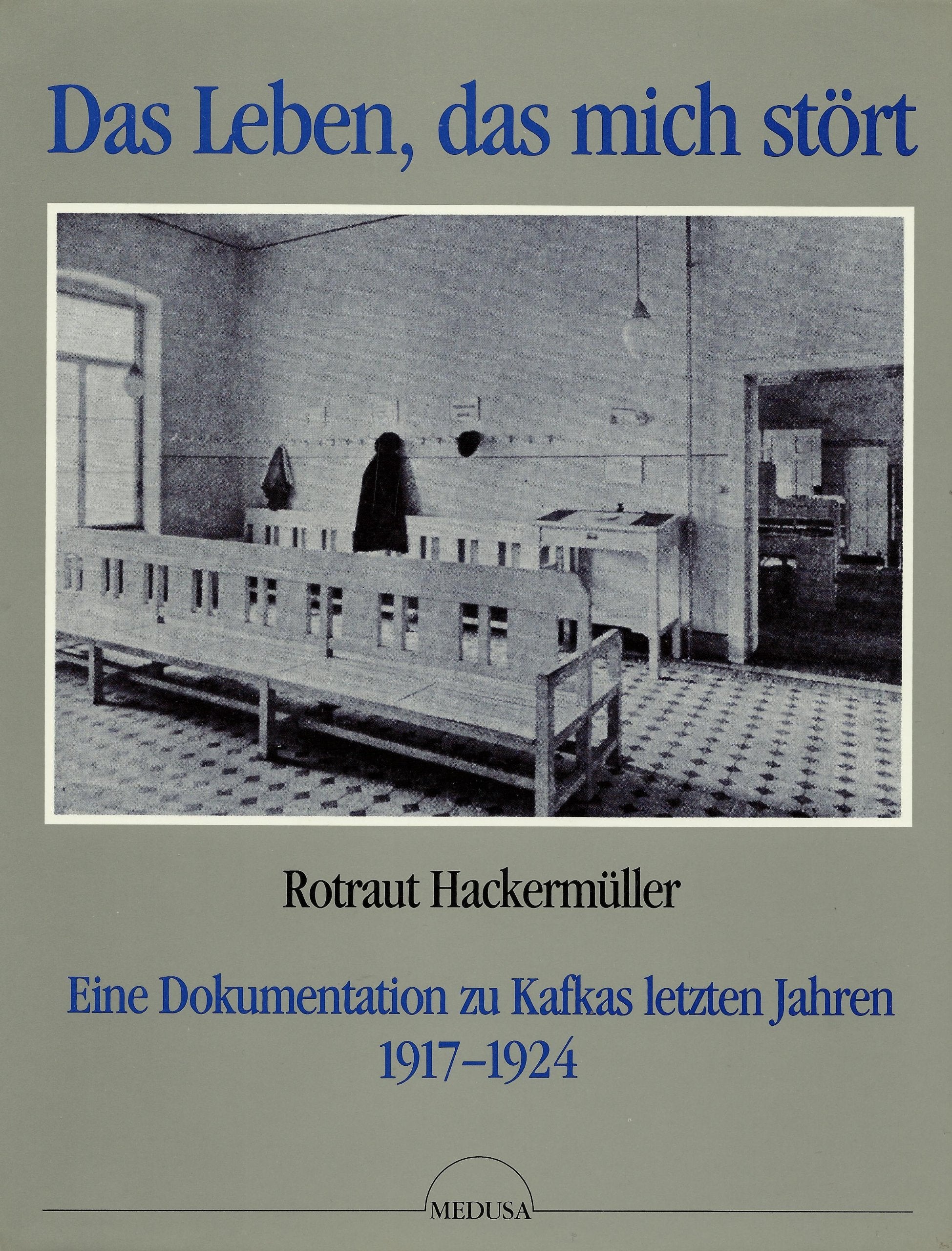 Das Leben, das mich stört. Eine Dokumentation zu Kafkas letzten Jahren 1917 - 1924 Books