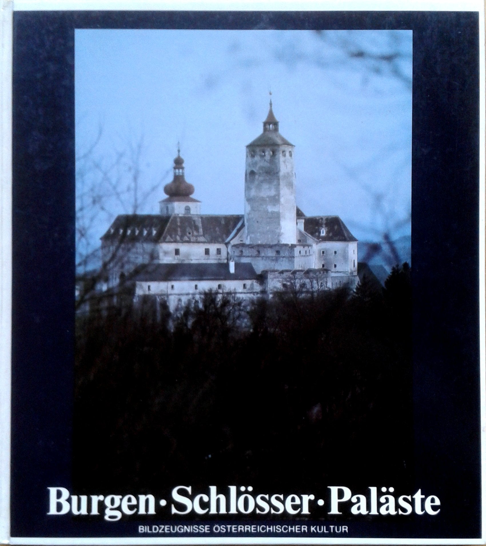 Burgen, Schlösser, Paläste. Bildzeugnisse österreichischer Kultur Contemporary literature
