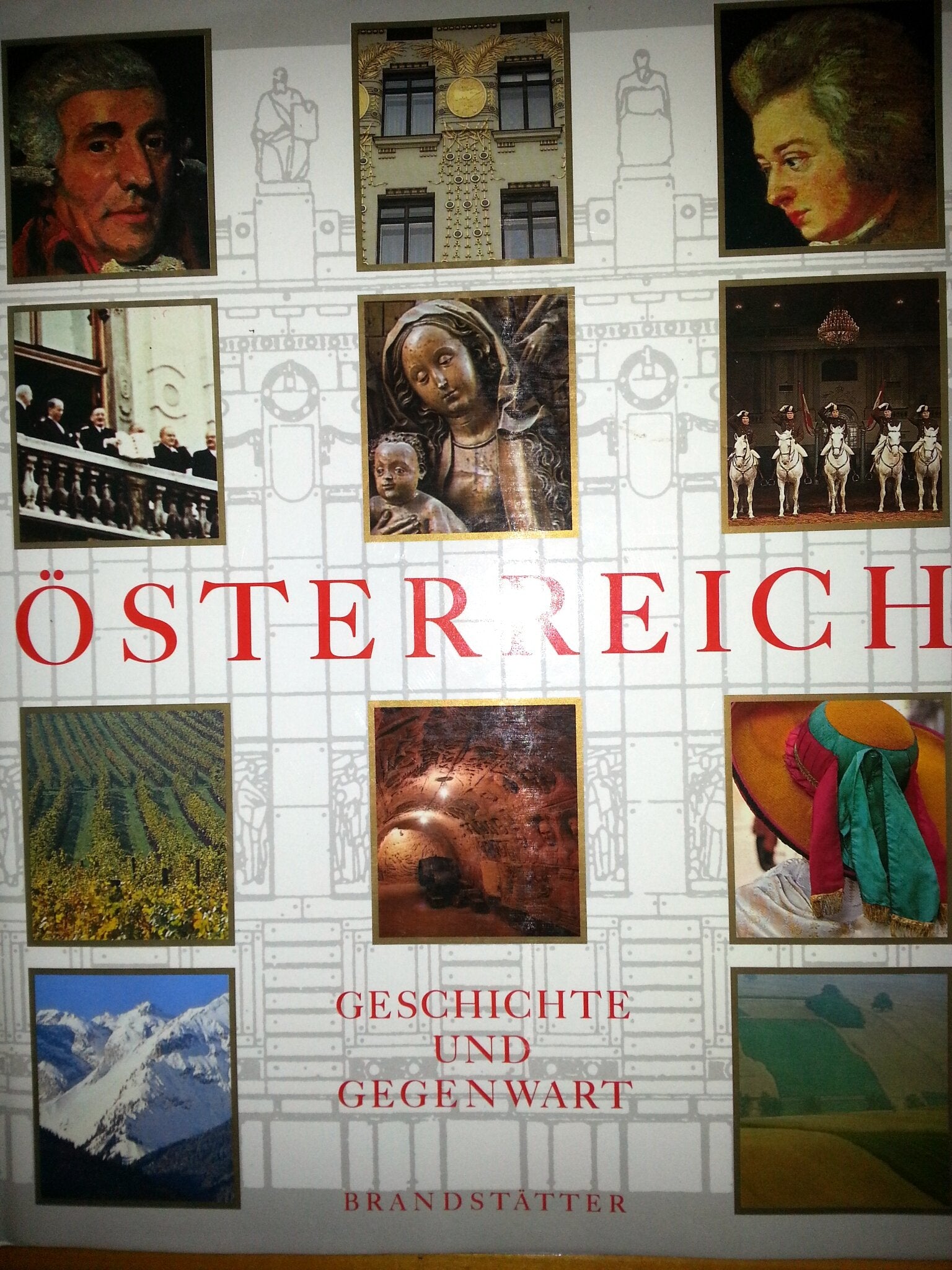Österreich : Geschichte und Gegenwart. Books