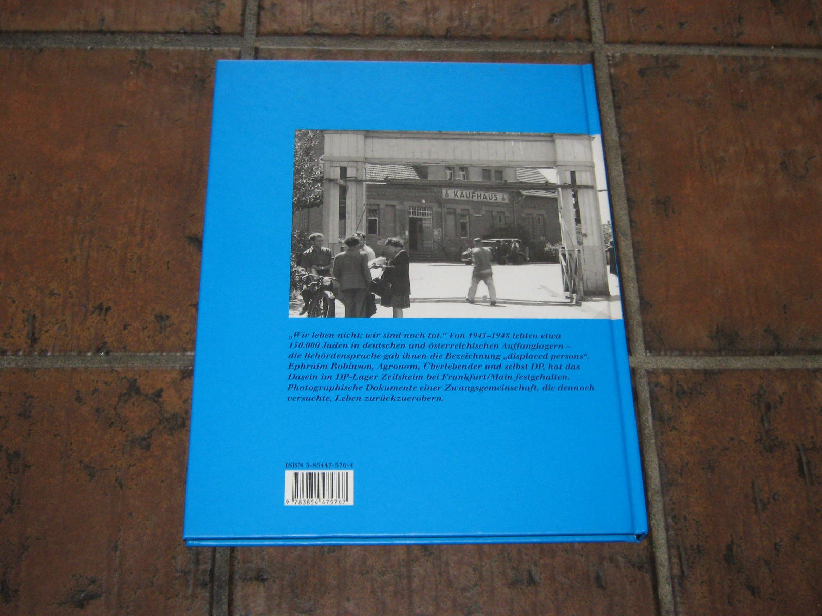 Ein Leben aufs neu. Das Robinson- Album. DP- Lager: Juden auf deutschem Boden 1945- 1948 Social Sciences