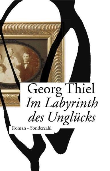 Product Image: Im Labyrinth des Unglücks