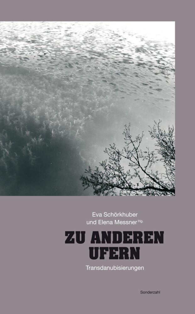 Zu anderen Ufern: Transdanubisierungen (Texte im Ohr: Stadt vor Augen) Contemporary literature