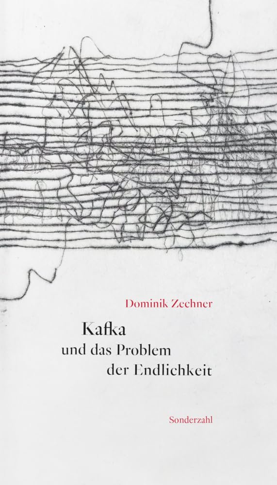 Kafka und das Problem der Endlichkeit Philosophy Books