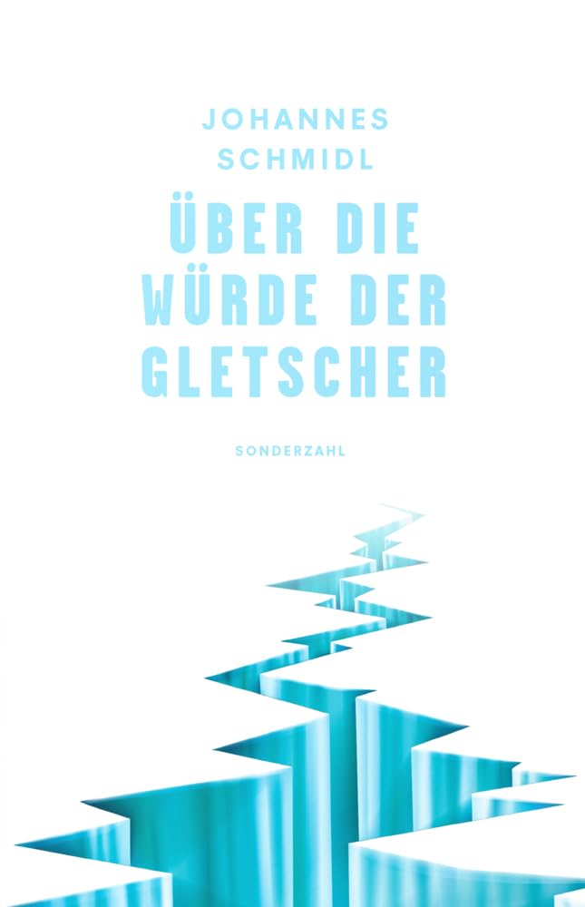 Über die Würde der Gletscher Essays & Short Stories