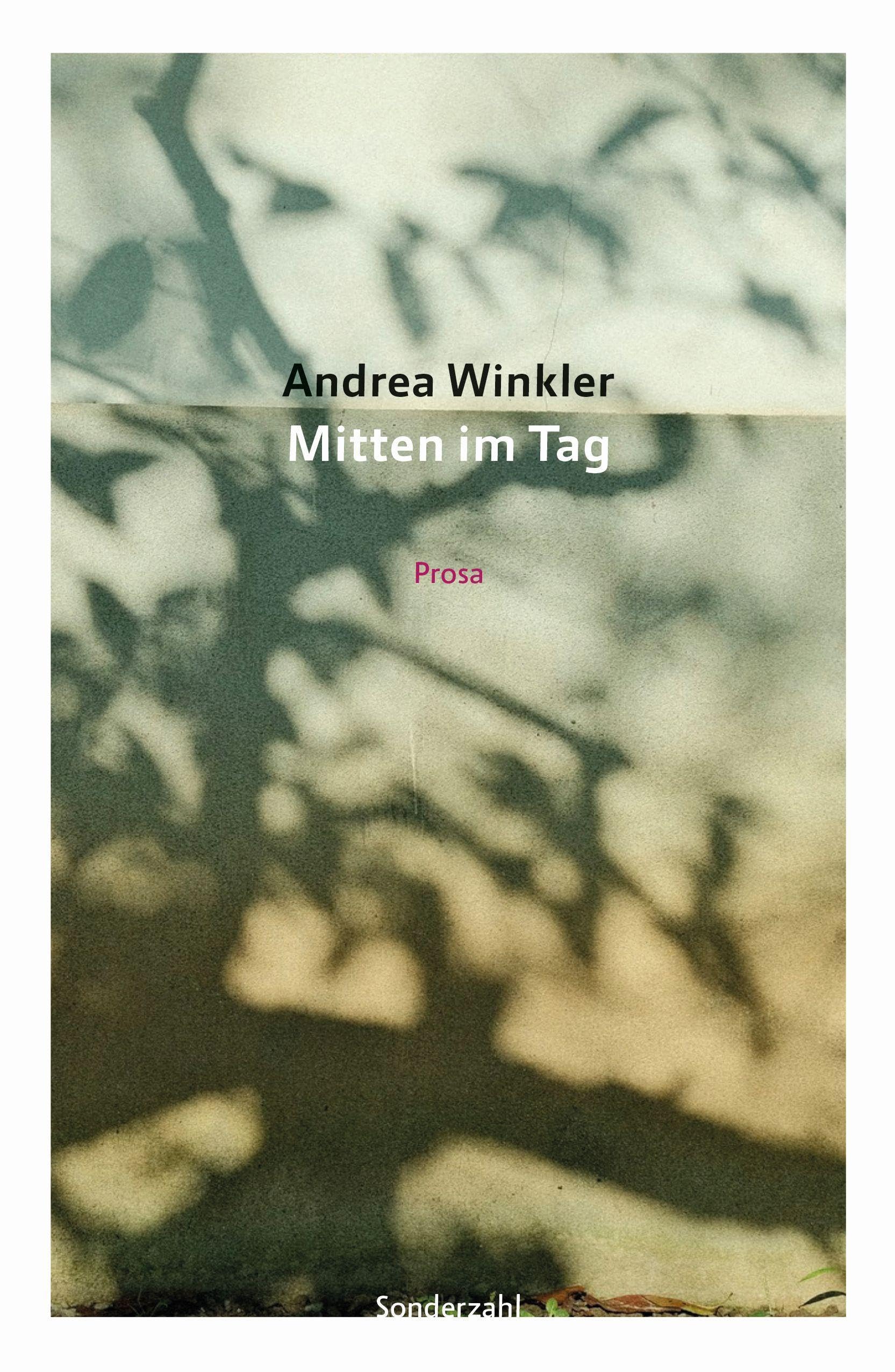 Mitten im Tag Contemporary literature Books