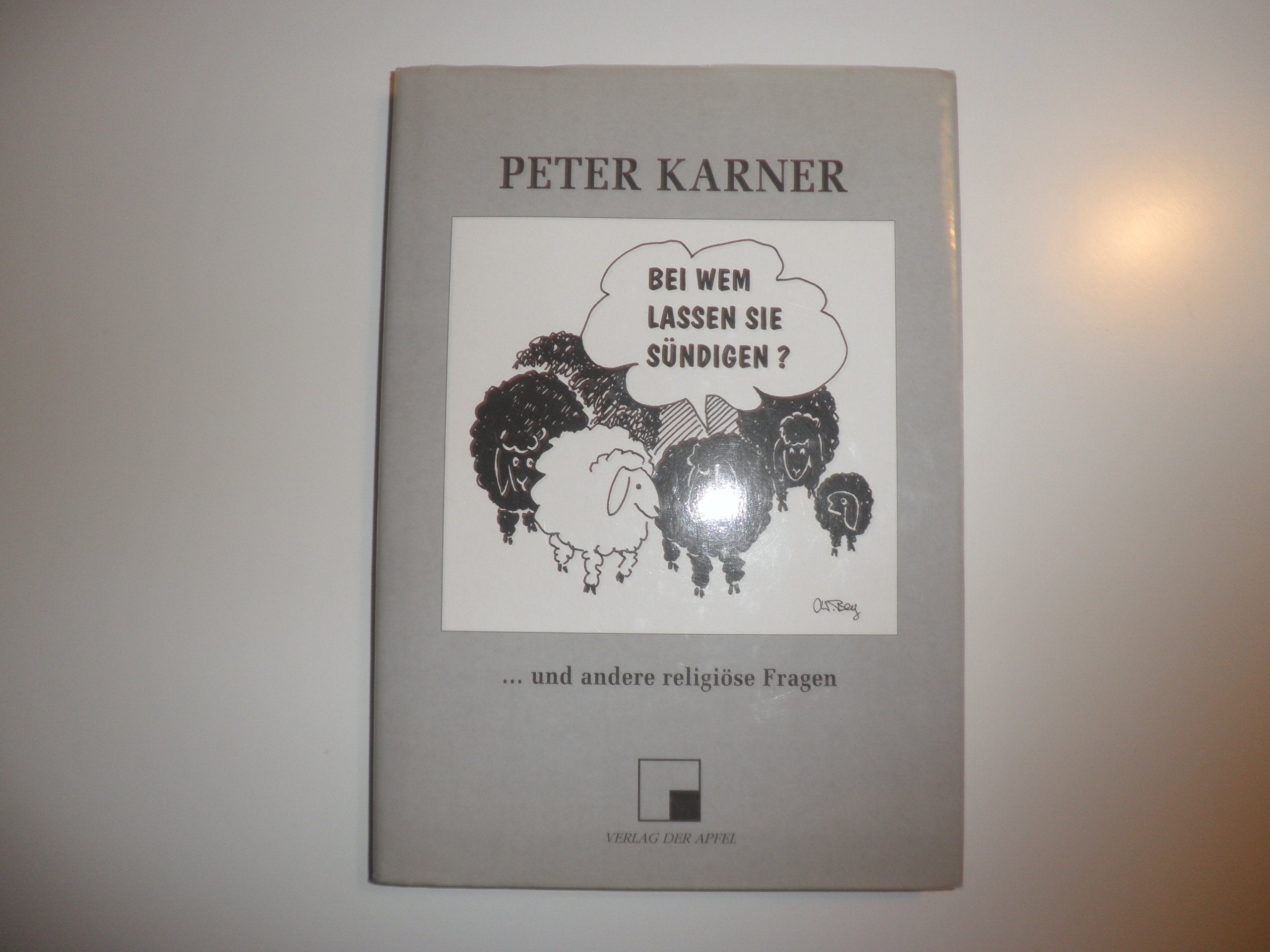 Bei wem lassen Sie sündigen?: ... und andere religiöse Fragen Books