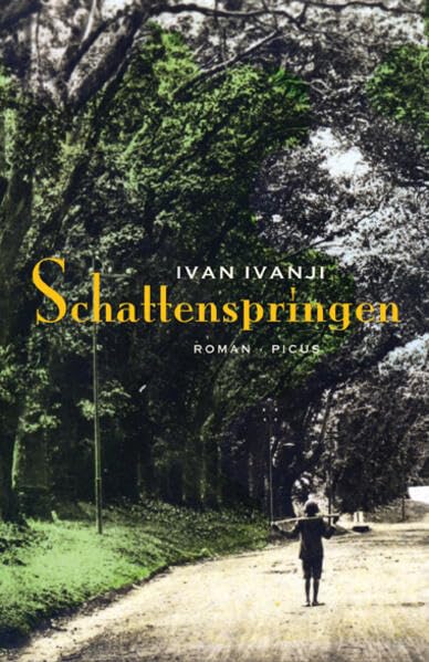 Schattenspringen: Roman Contemporary literature