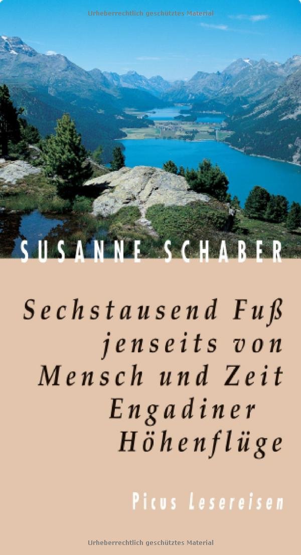 Sechstausend Fuß jenseits von Mensch und Zeit: Engadiner Höhenflüge (Picus Lesereisen) Leisure, Home & Garden