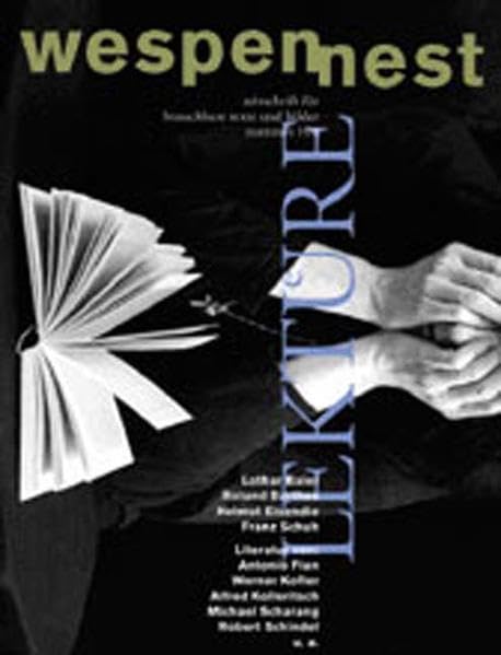 Wespennest. Zeitschrift für brauchbare Texte und Bilder / Lektüre: nummer 100 Essays & Short Stories