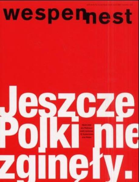 Wespennest. Zeitschrift für brauchbare Texte und Bilder / Polen: nummer 120 Essays & Short Stories