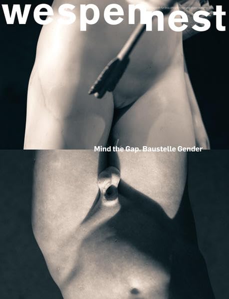 wespennest - zeitschrift für brauchbare texte und bilder: nummer 165 Mind the Gap. Baustelle Gender Social Sciences